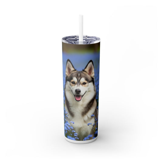Alaskan Klee Kai Skinny Tumbler with Straw, 20oz