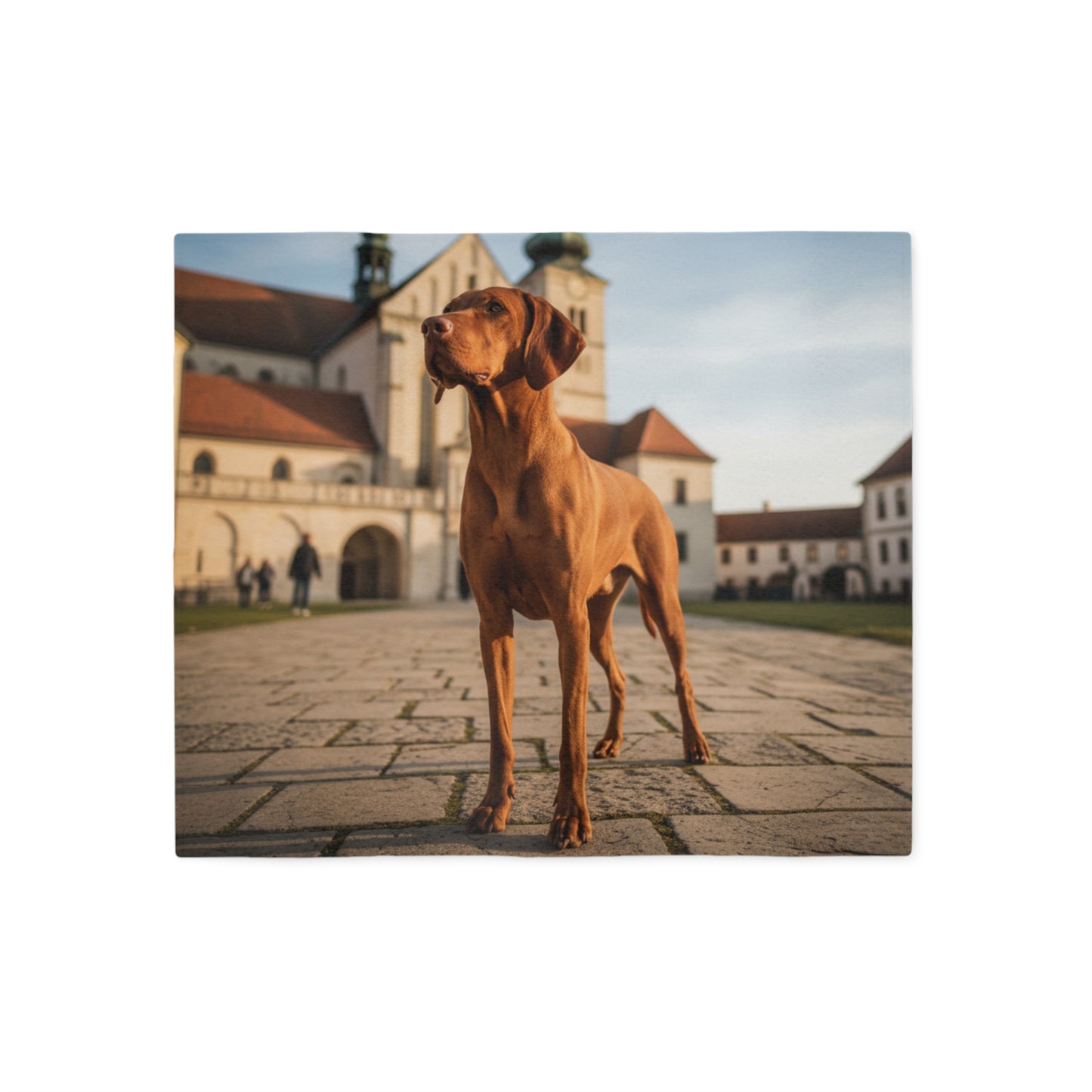 Hungarian Vizsla Blanket