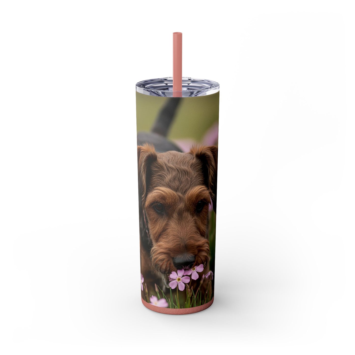 Gobelet isotherme Cesky Terrier avec paille, 590 ml