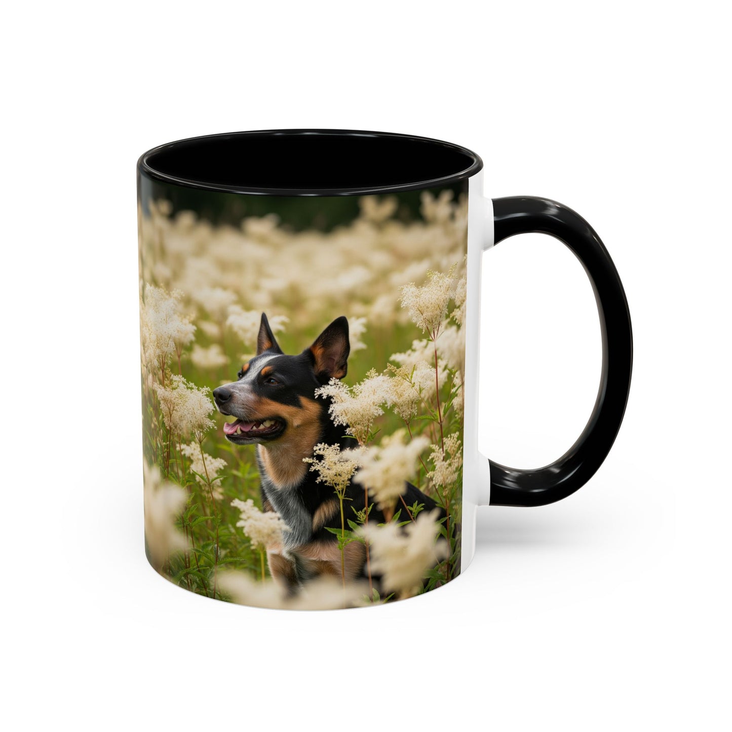 Lancashire Heeler Accent Mug – Ceramic Coffee Cup