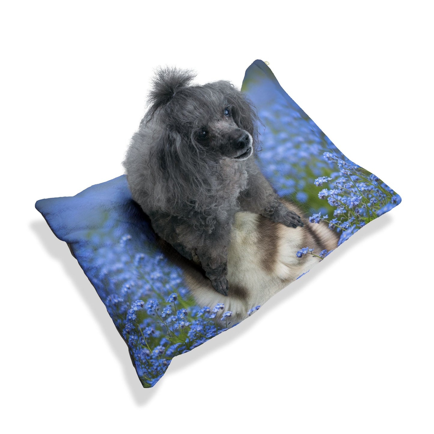 Alaskan Klee Kai Pet Bed