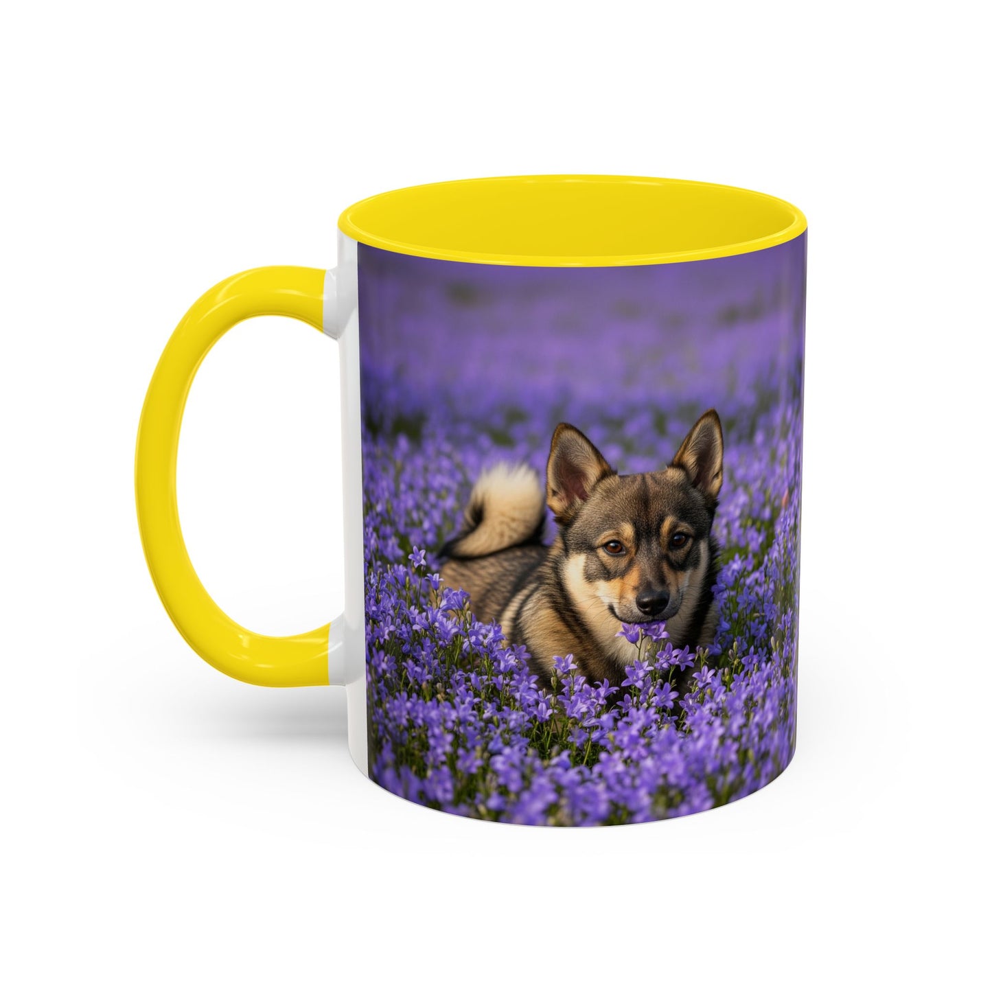 Swedish Vallhund Accent Coffee Mug - Perfect Gift for Dog Lovers