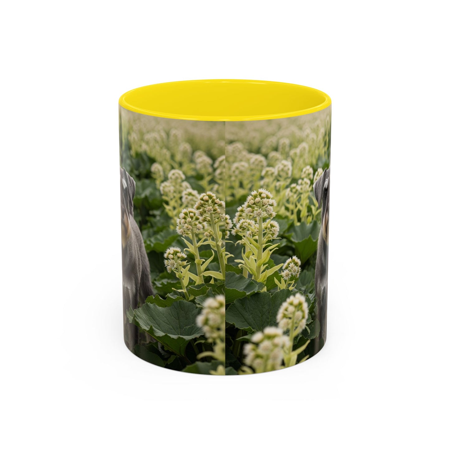 Mug à café avec motif Schnauzer standard - Cadeau idéal pour les amoureux des chiens