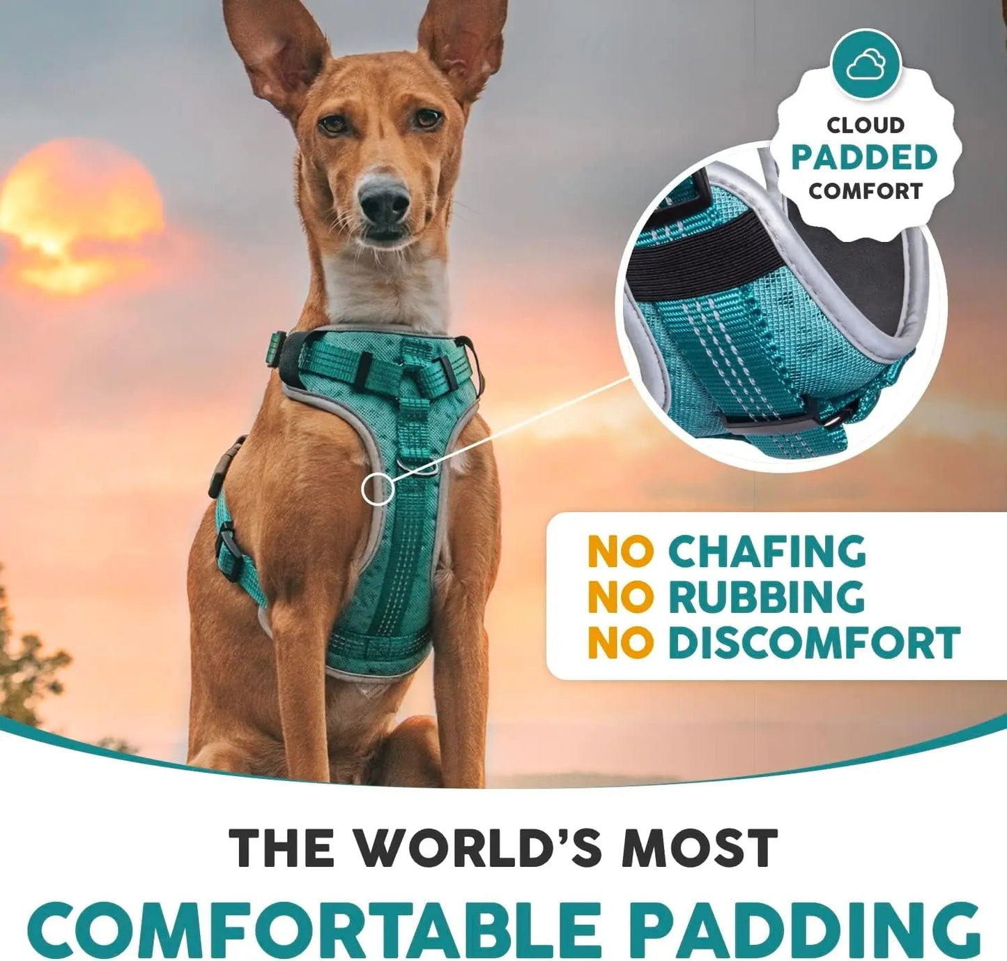 Harnais pour chien Embark Sports, harnais anti-traction pour grands chiens, léger et respirant - Facile à mettre et à enlever, idéal pour le dressage sans traction, taille ajustable, anti-étranglement avec poignée de contrôle. Gilet turquoise