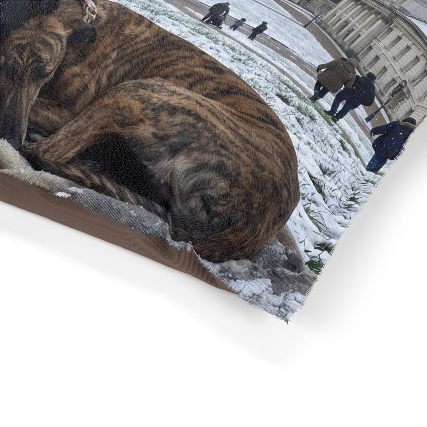 Greyhound Pet Bed