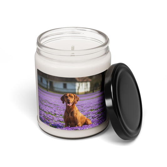 Vizsla- Scented Soy Candle, 9oz