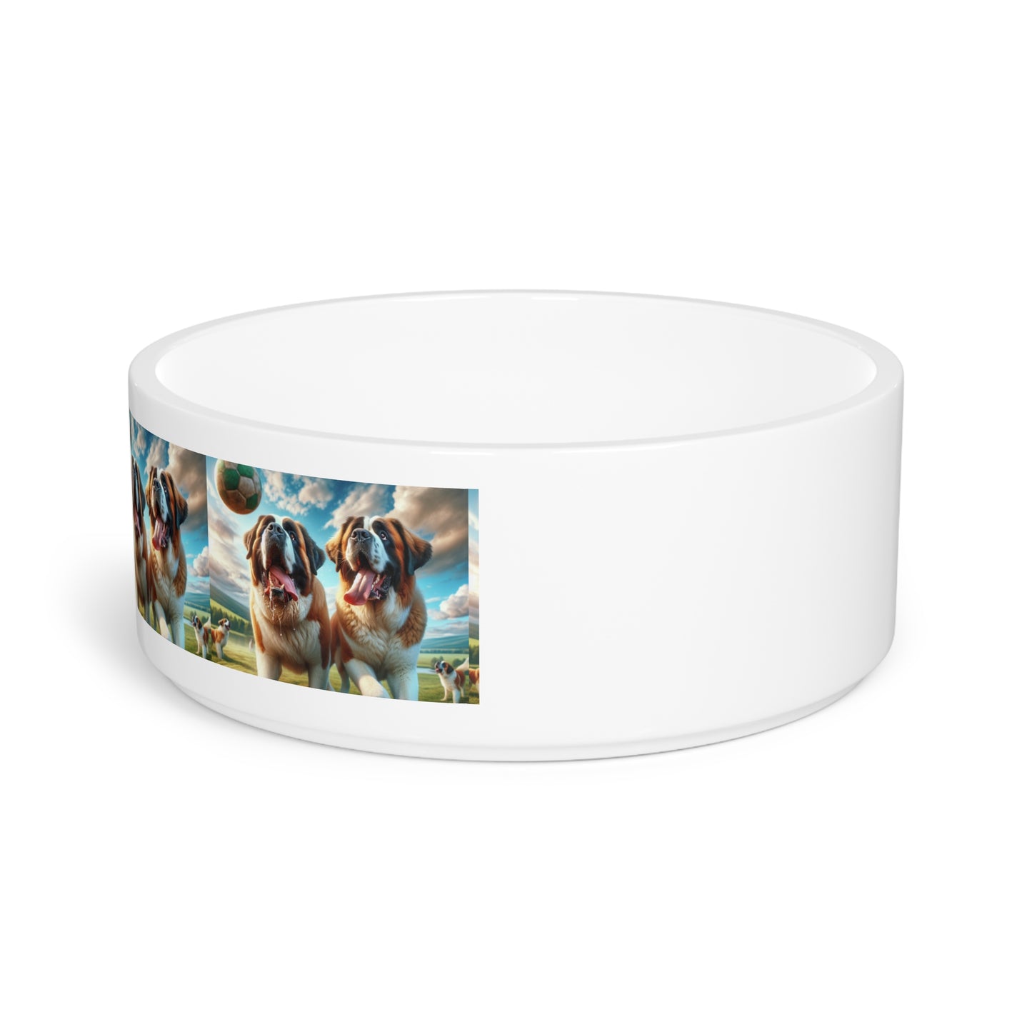 Saint Bernard Pet Bowl