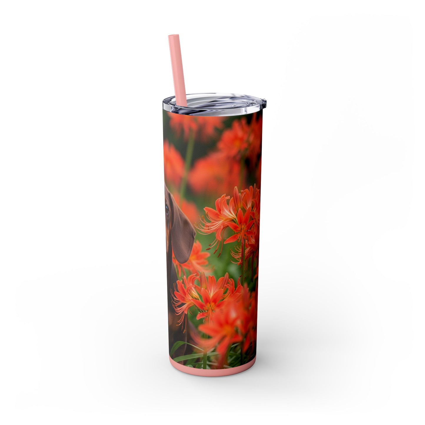 Gobelet isotherme Teckel avec paille, 590 ml