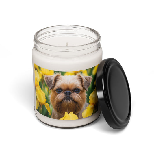 Silky Brussels- Scented Soy Candle, 9oz