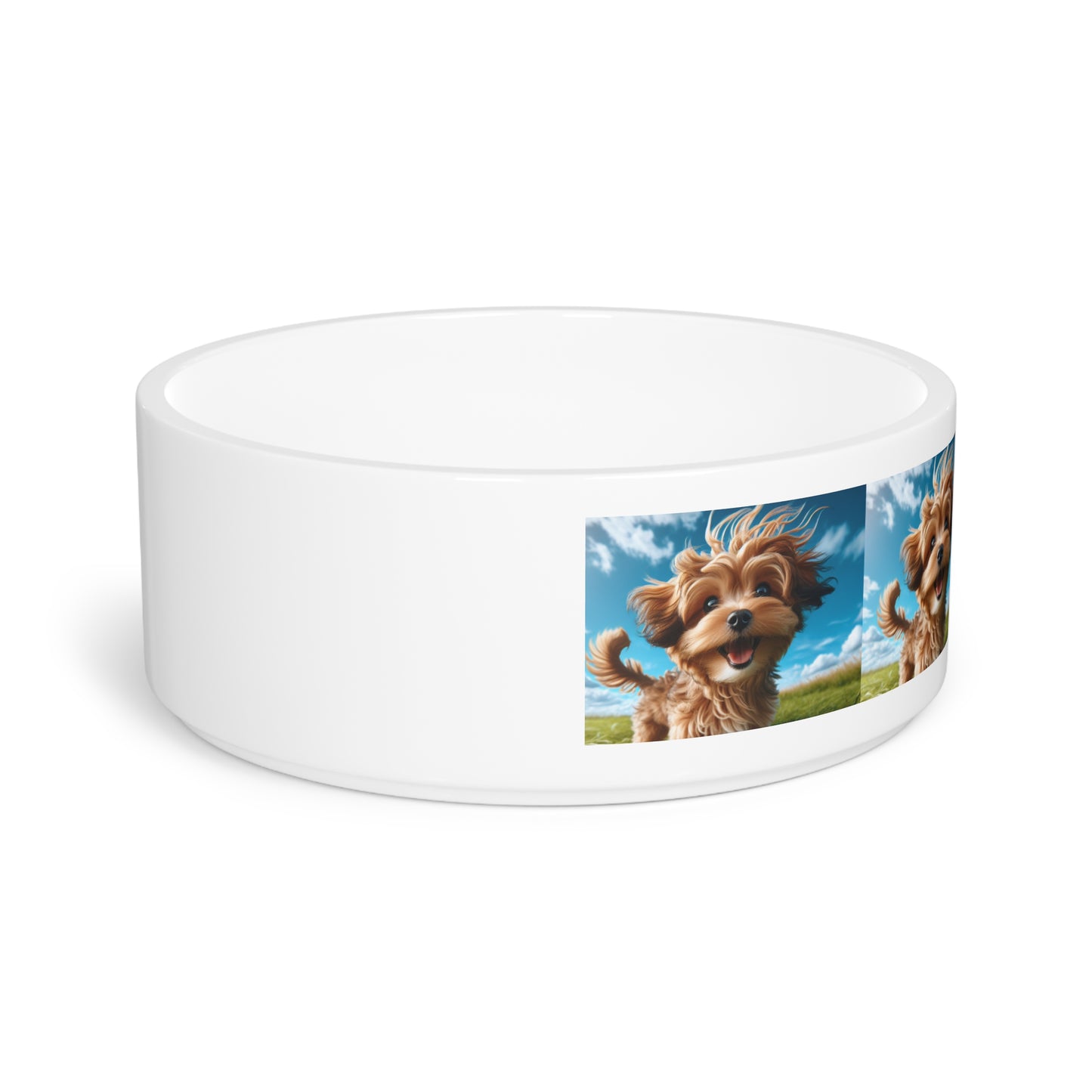 Kaikadi Pet Bowl