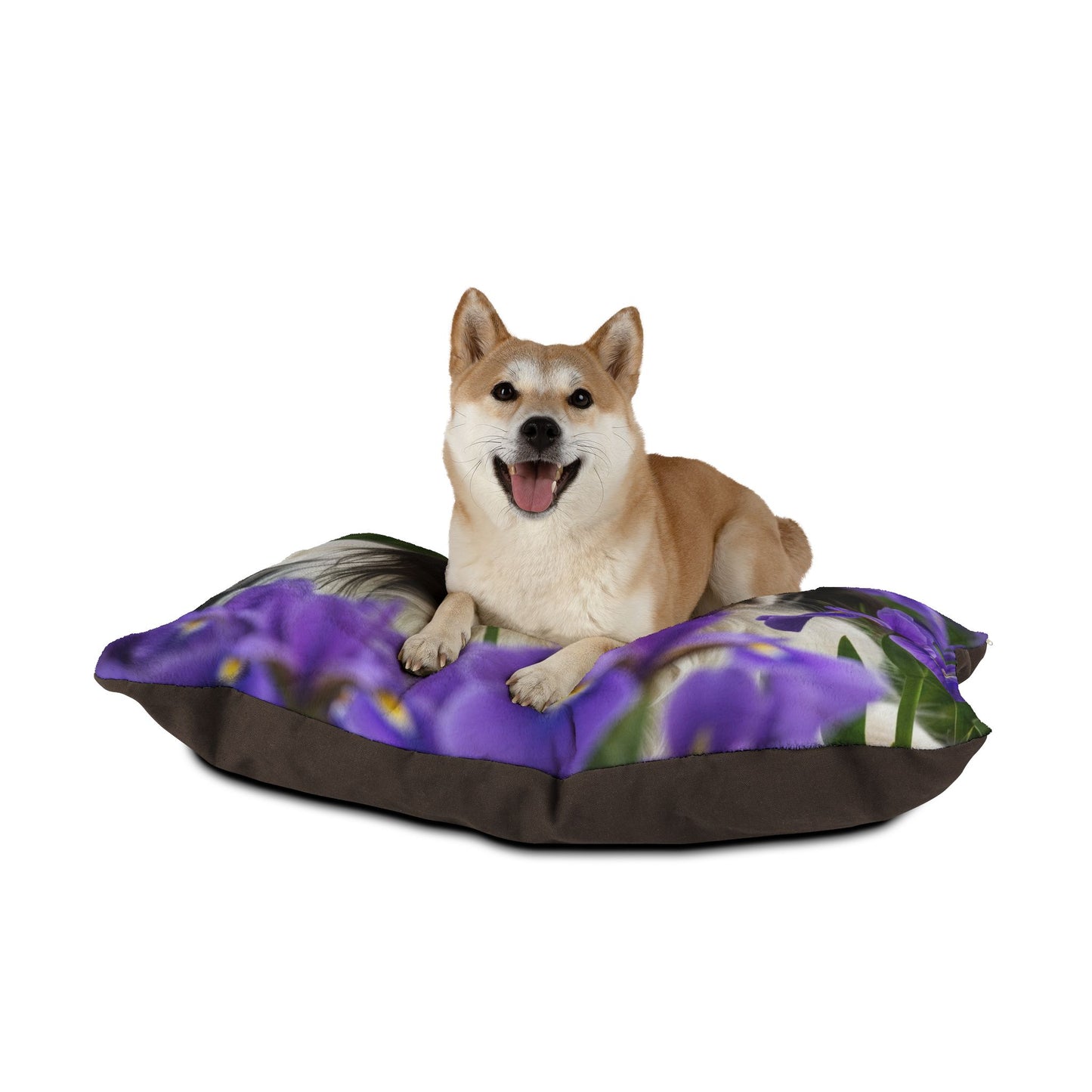 Japanese Chin Pet Bed
