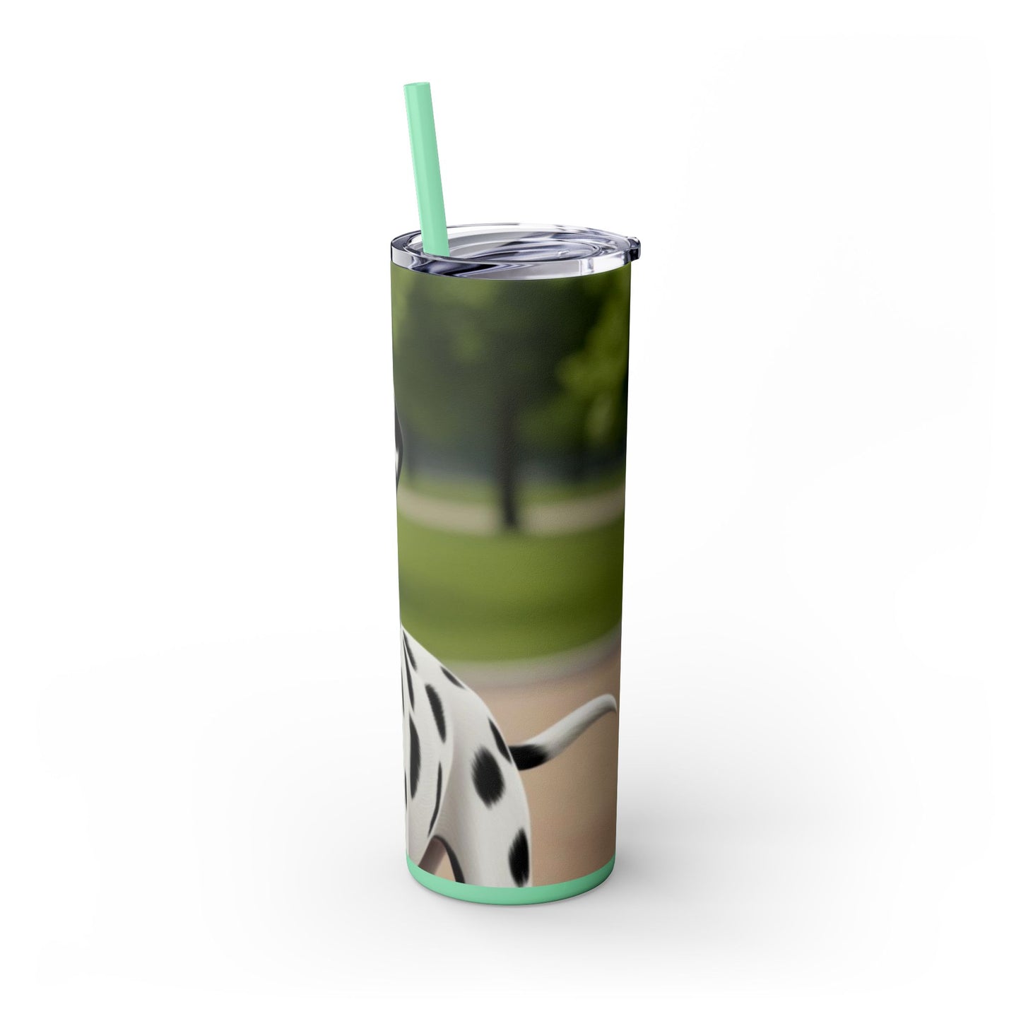 Skinny Tumbler with Straw – 20 oz Stainless Steel Cup