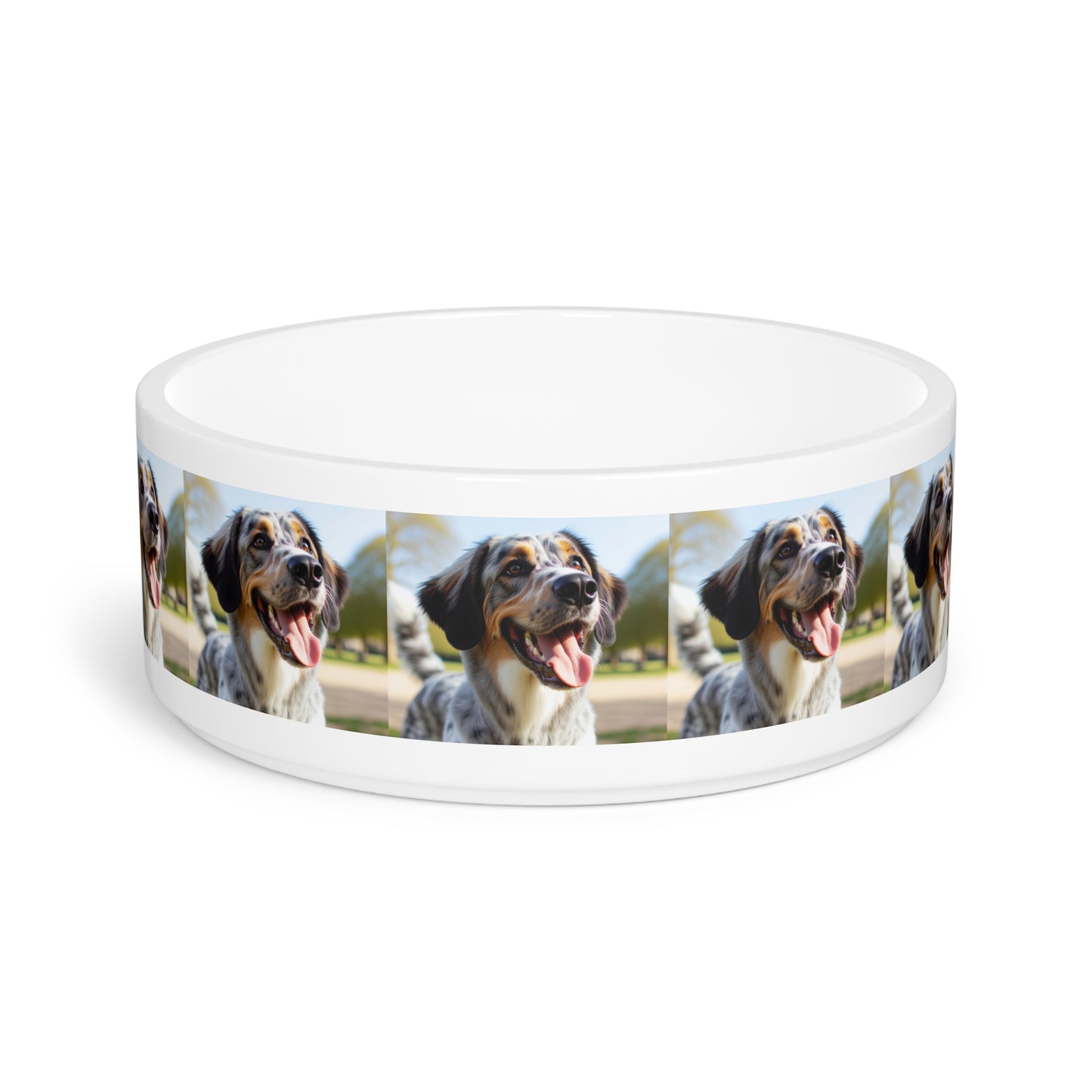 Braque Francais Pyrenean Pet Bowl