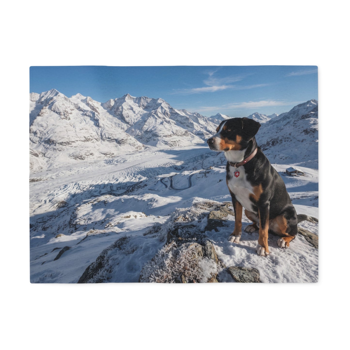Entlebucher Mountain Dog Blanket