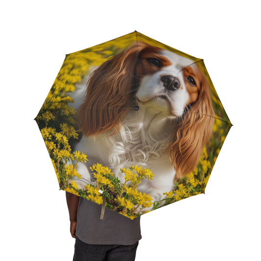 Cavalier King Charles Spaniel Semi-Automatic Foldable Umbrella