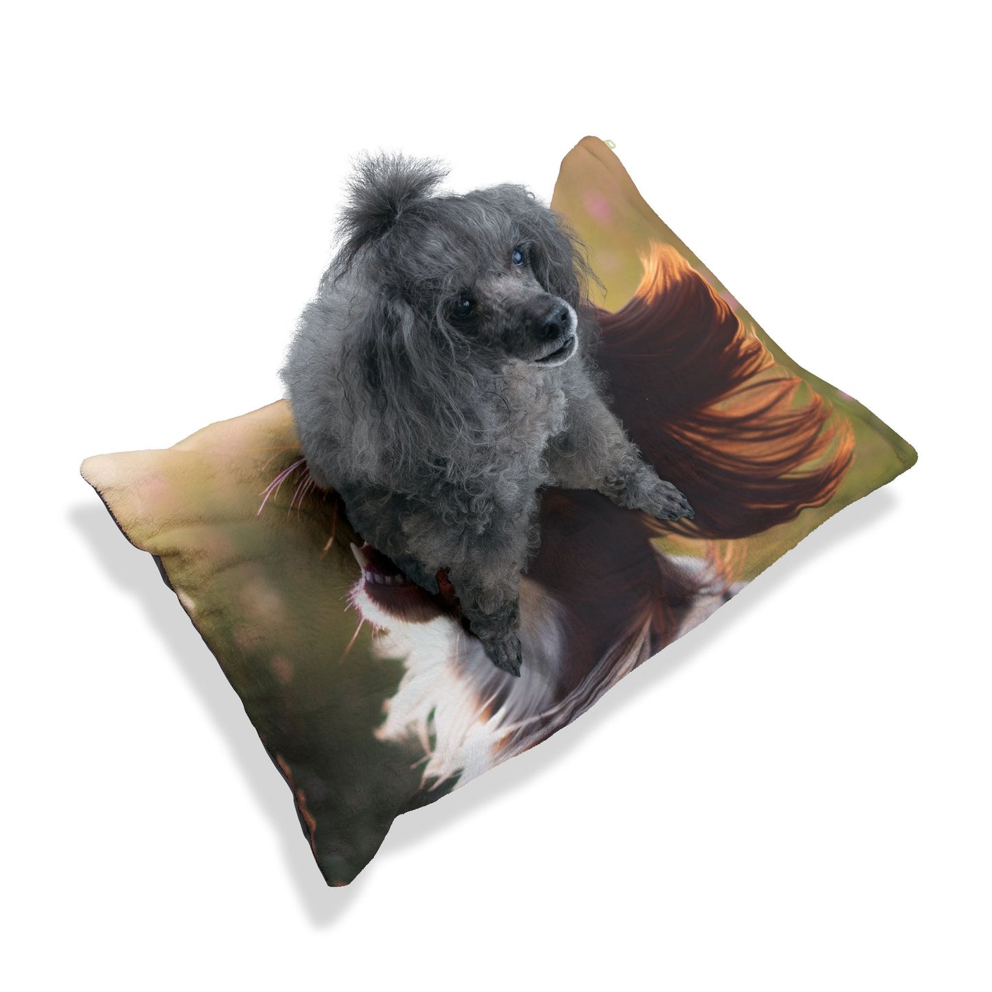 Petit lit pour animaux de compagnie Munsterlander