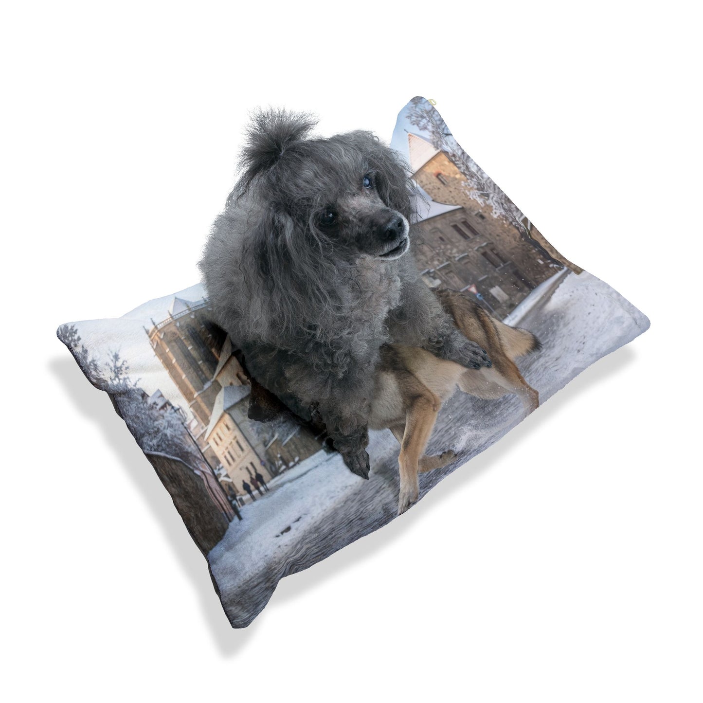 Czechoslovakian Wolfdog Pet Bed