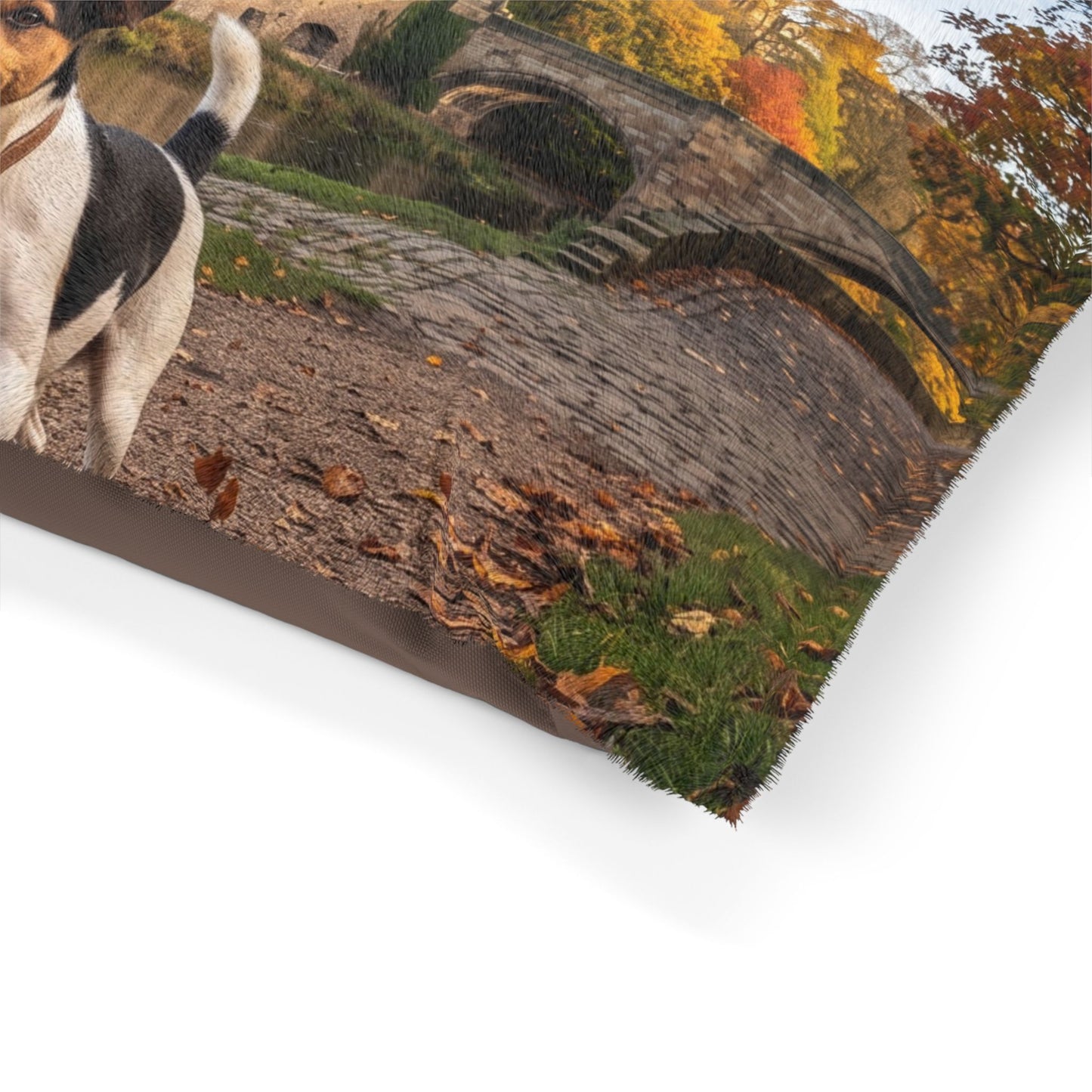 Jack Russell Terrier Pet Bed