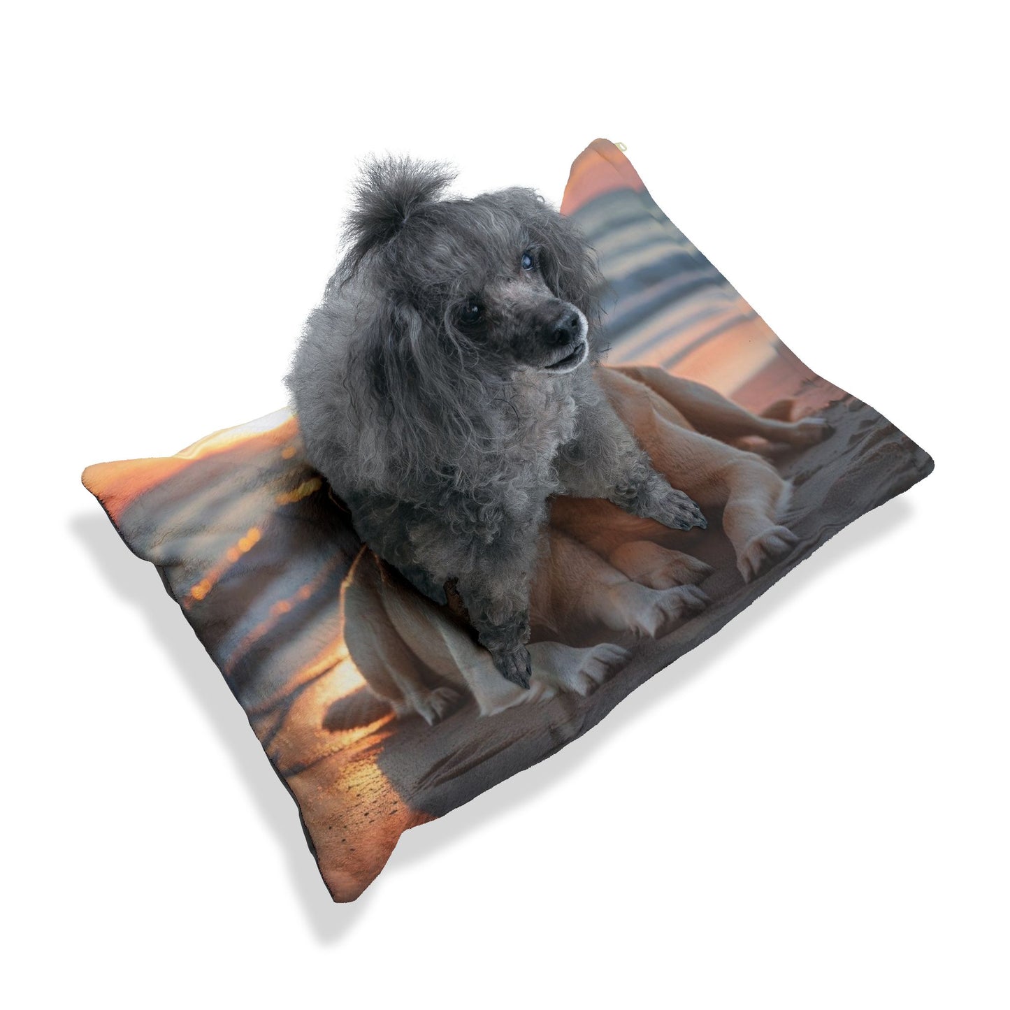 Labrador Retriever Love Pet Bed