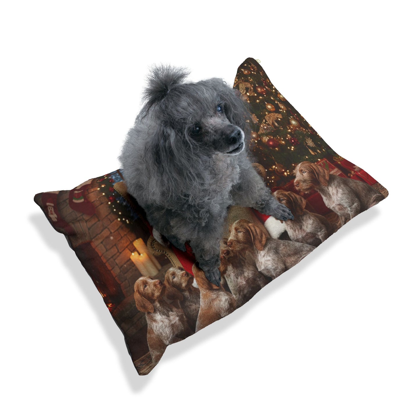 Papa Noel Pet Bed
