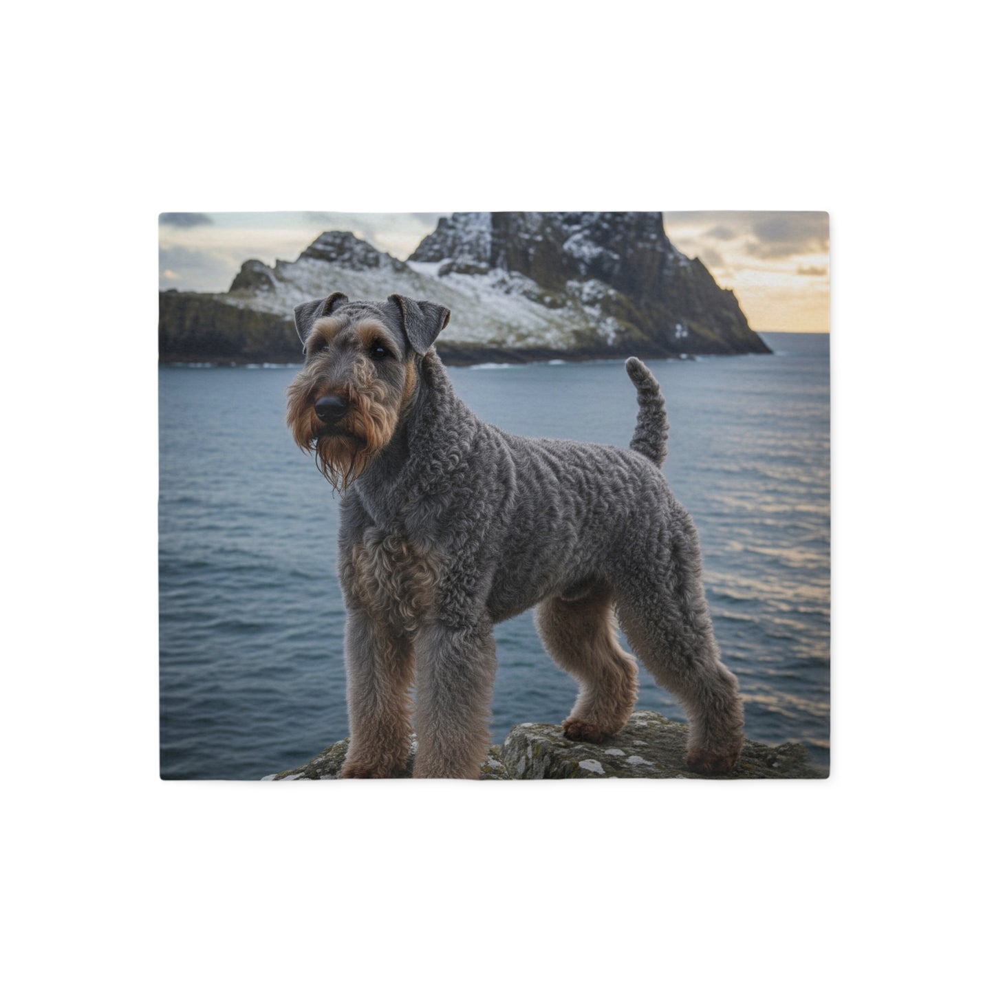 Kerry Blue Terrier Blanket
