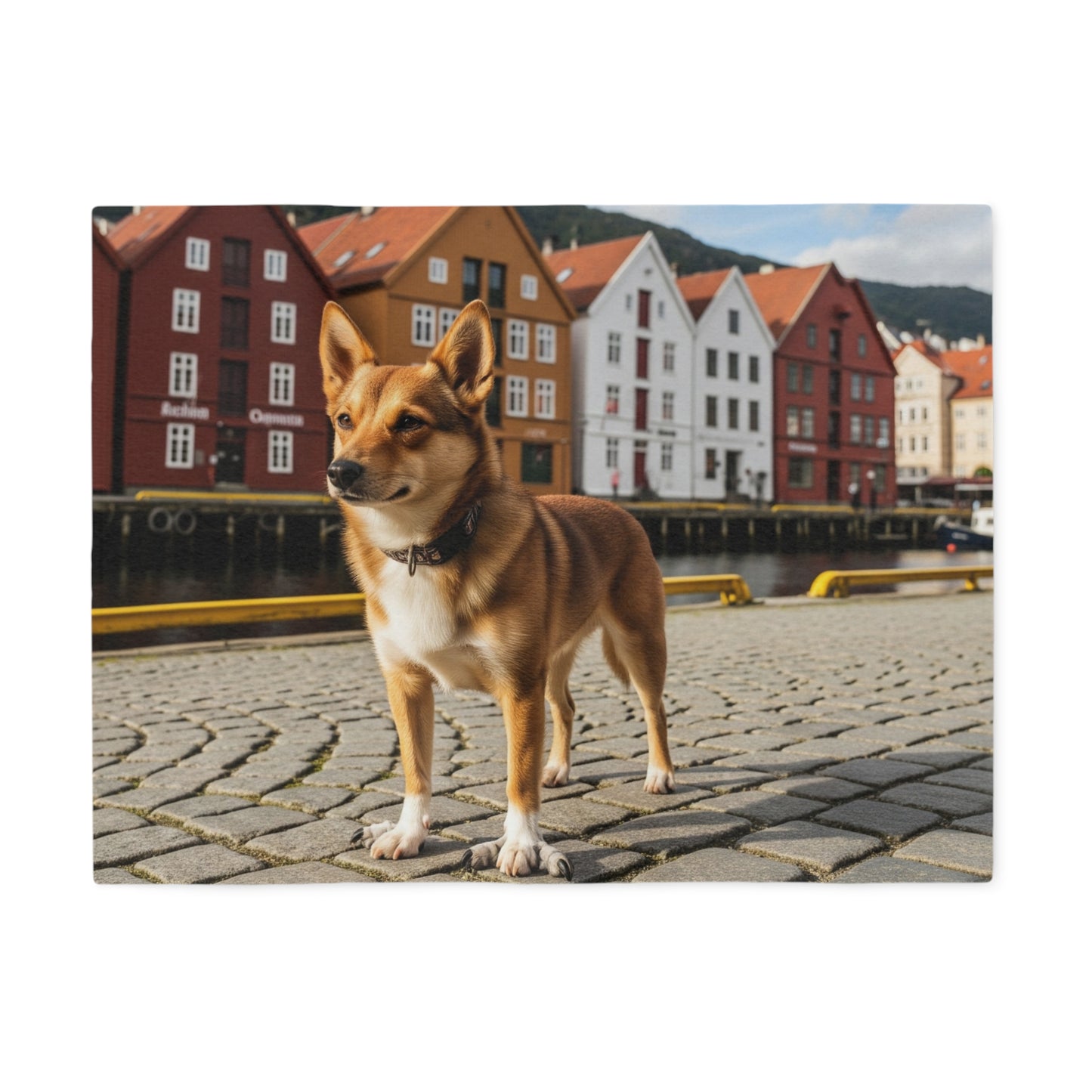 Norwegian Lundehund Blanket