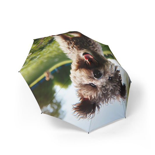 Pumi Semi-Automatic Foldable Umbrella