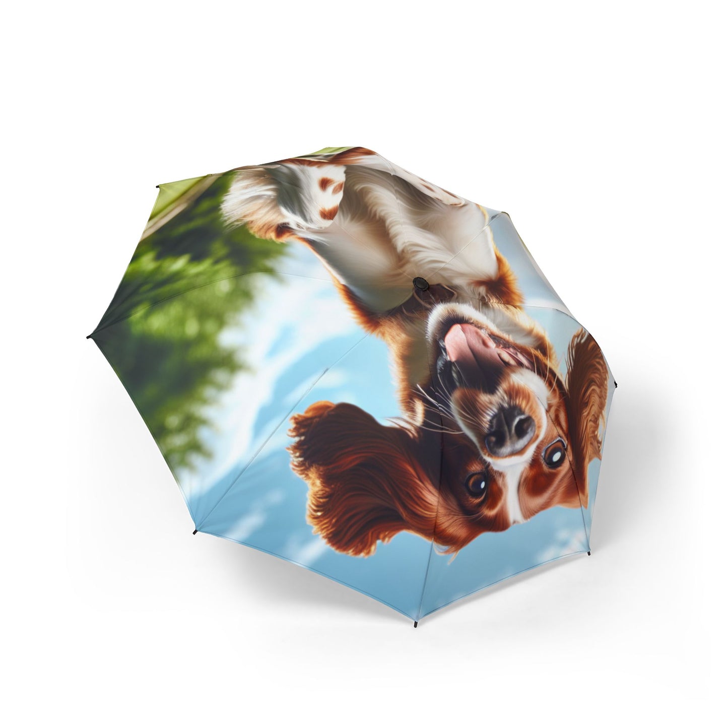 Welsh Springer Spaniel Semi-Automatic Foldable Umbrella