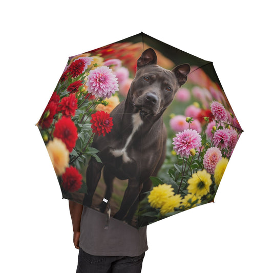 Calupoh Semi-Automatic Foldable Umbrella