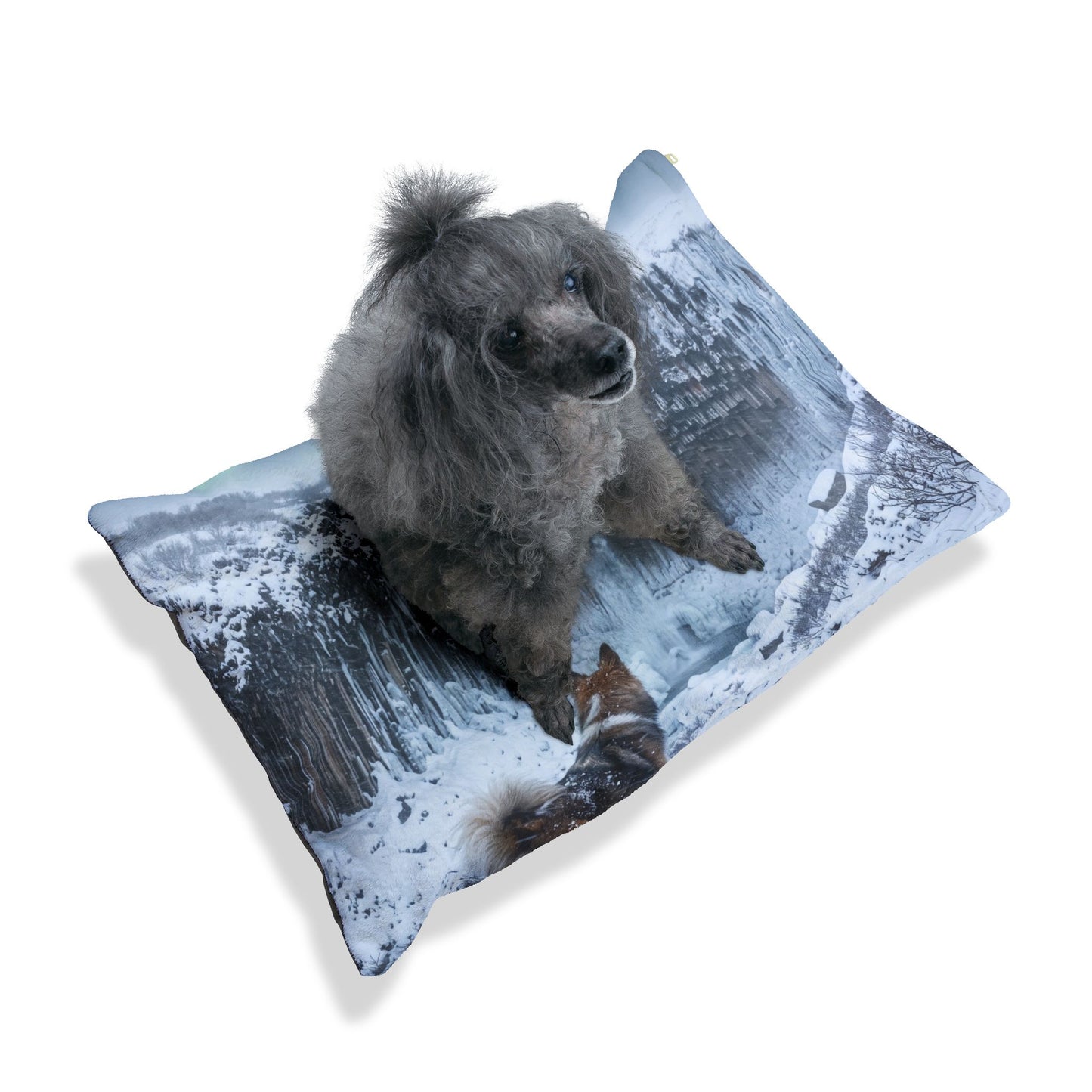 Icelandic Sheepdog Pet Bed