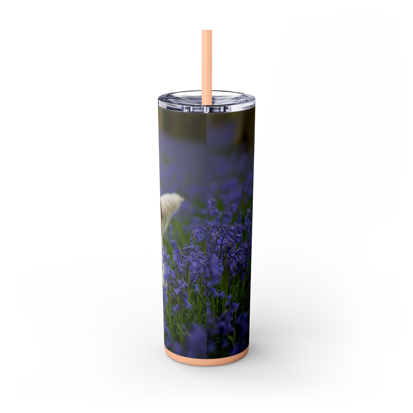 Welsh Springer Spaniel Skinny Tumbler with Straw, 20oz