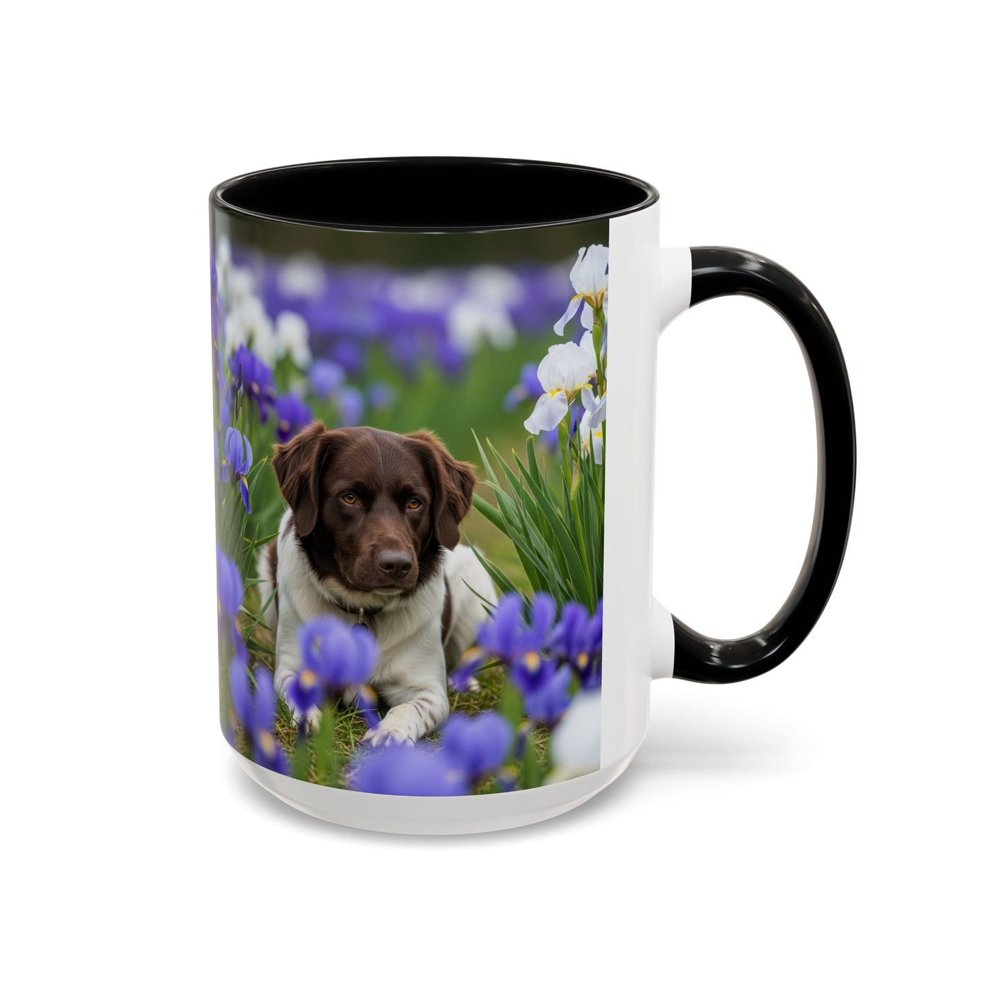 Mug Stabyhouns Accent - Cadeau idéal pour les amoureux des chiens