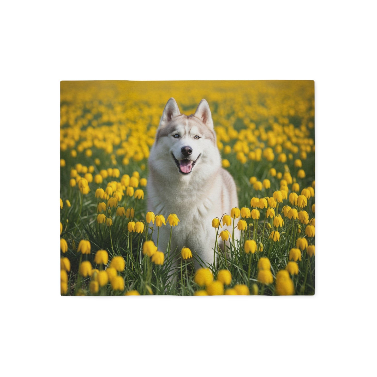 Couverture en sweat-shirt Husky de Sibérie