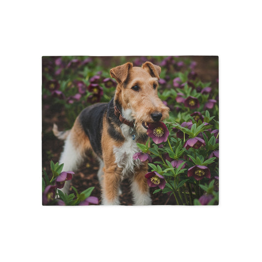 Wire Fox Terrier Sweatshirt Blanket