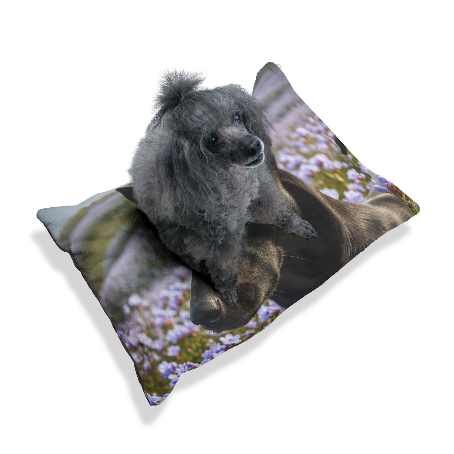 Kanni Pet Bed