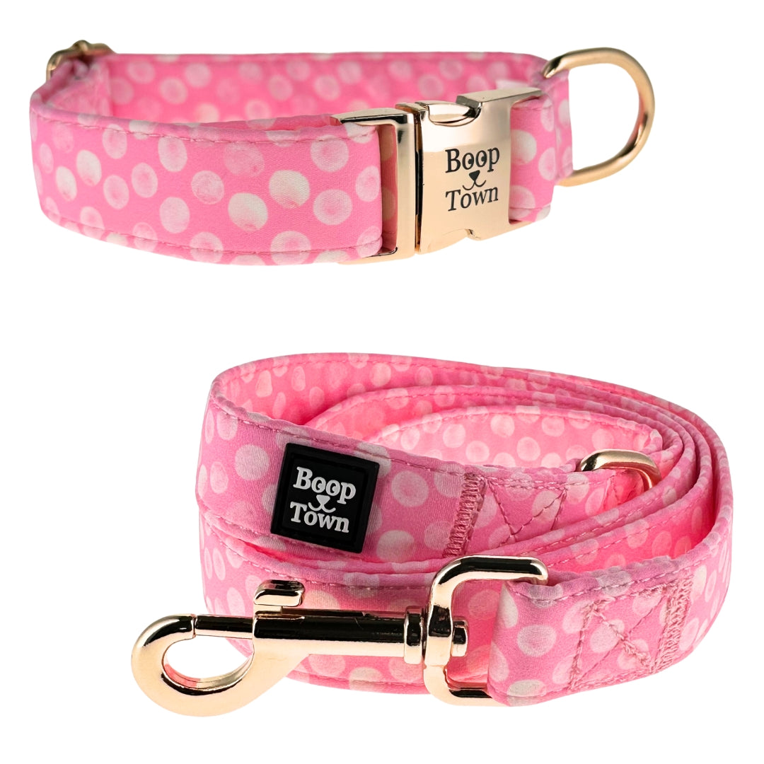 Ensembles collier et laisse pour chien