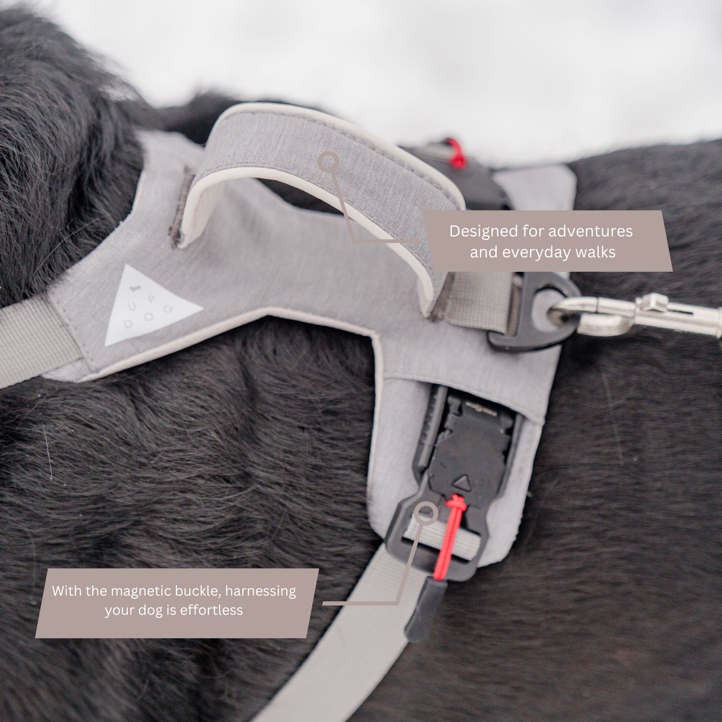 Harnais magnétique pour chien - Attache à une main, conception anti-traction