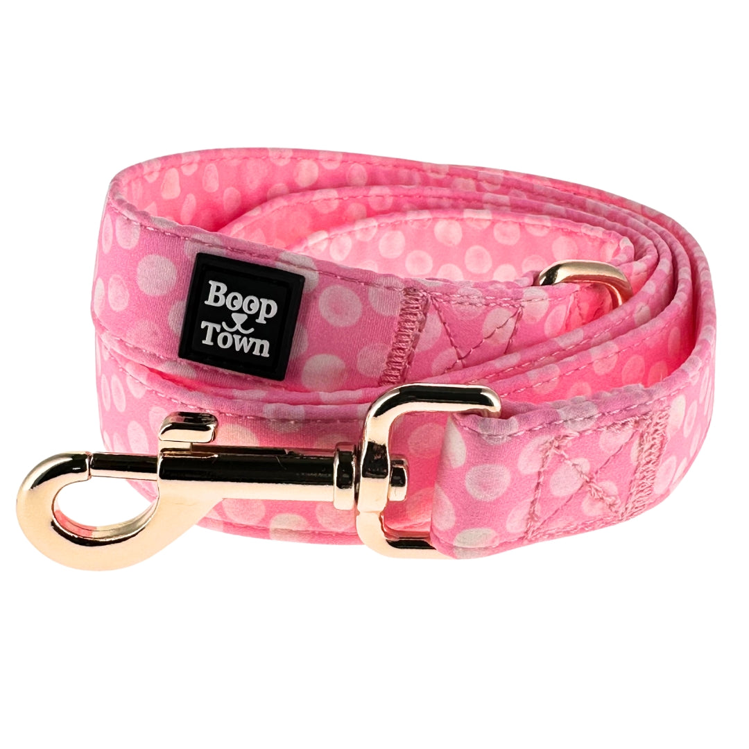 laisses pour chiens