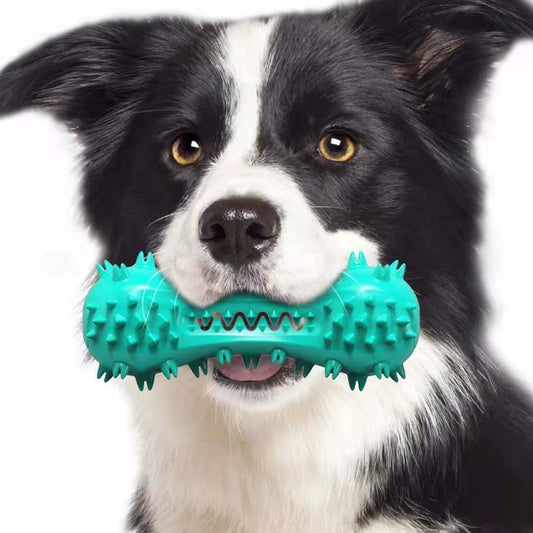 Juguete masticable para limpiar los dientes del perro