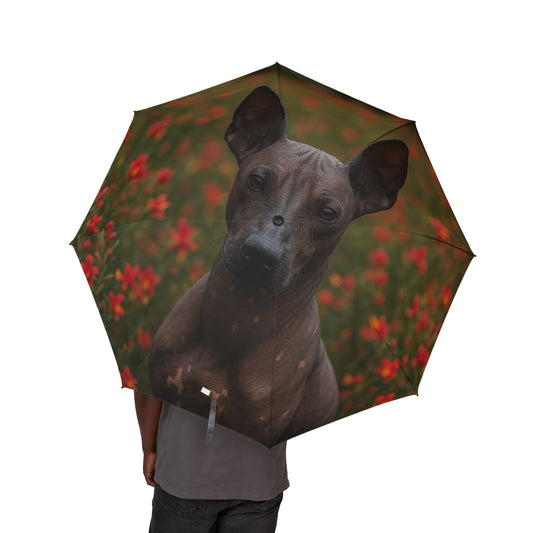 Peruvian Inca Orchid Semi-Automatic Foldable Umbrella