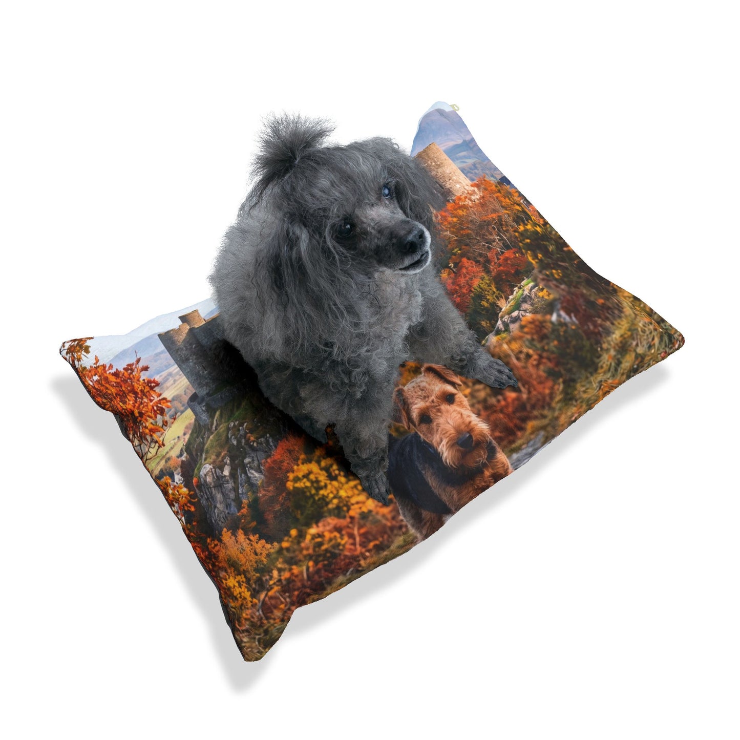 Welsh Terrier Pet Bed
