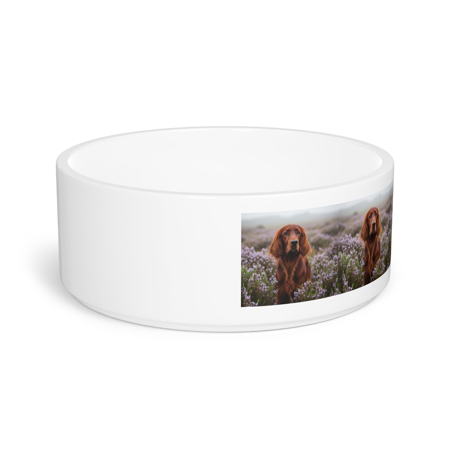 Gamelle pour animaux de compagnie Irish Setter