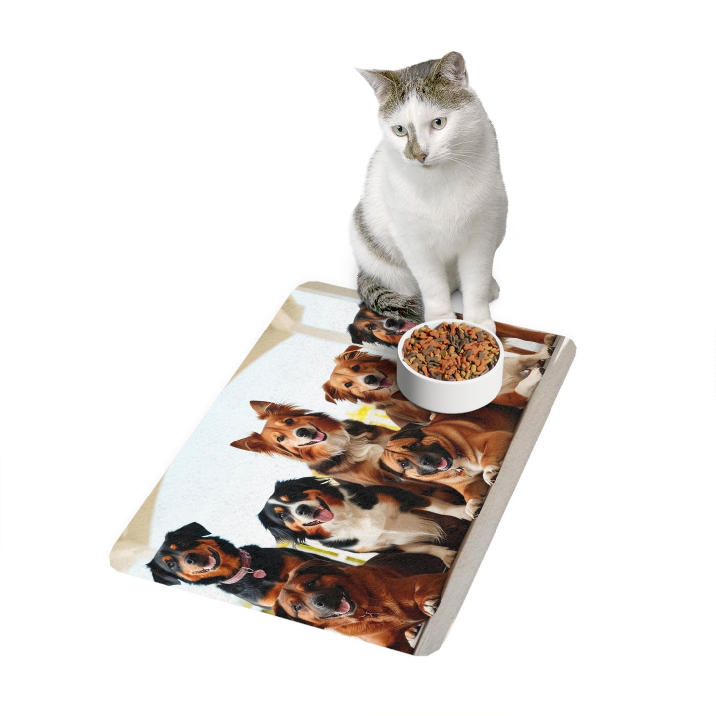 Pet Food Mat (12x18) - Class of Dogs