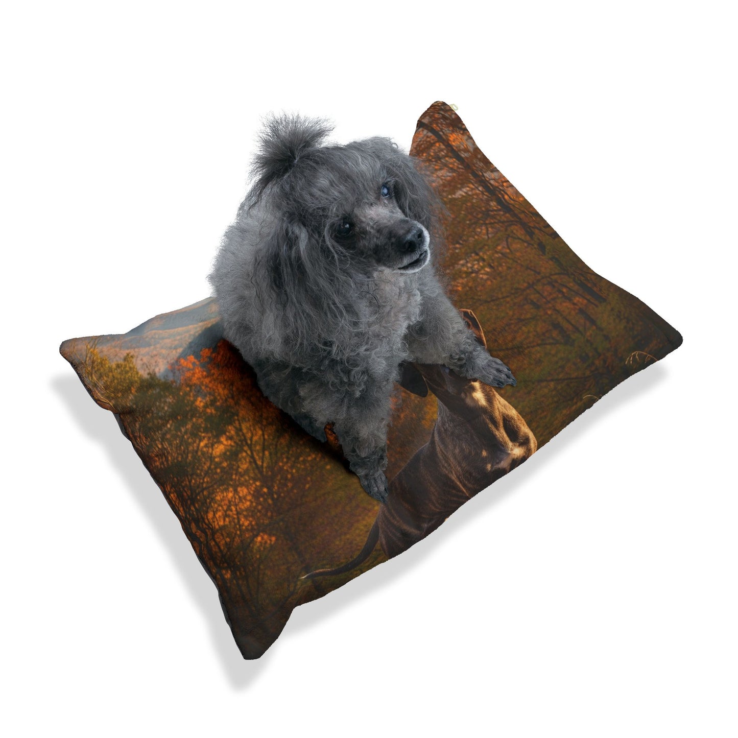Treeing Tennessee Brindle Pet Bed
