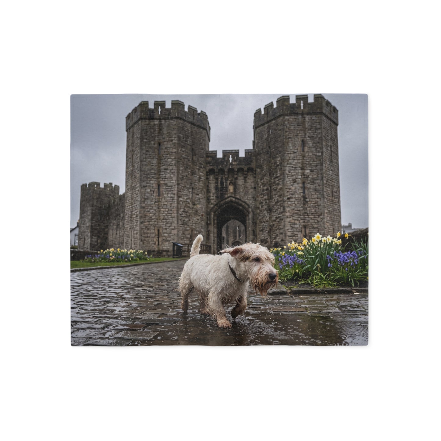 Sealyham Terrier Blanket
