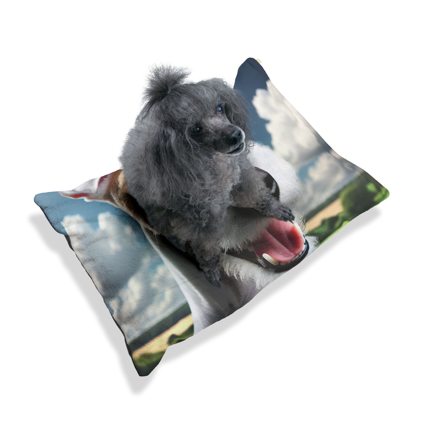 Smooth Fox Terrier Pet Bed