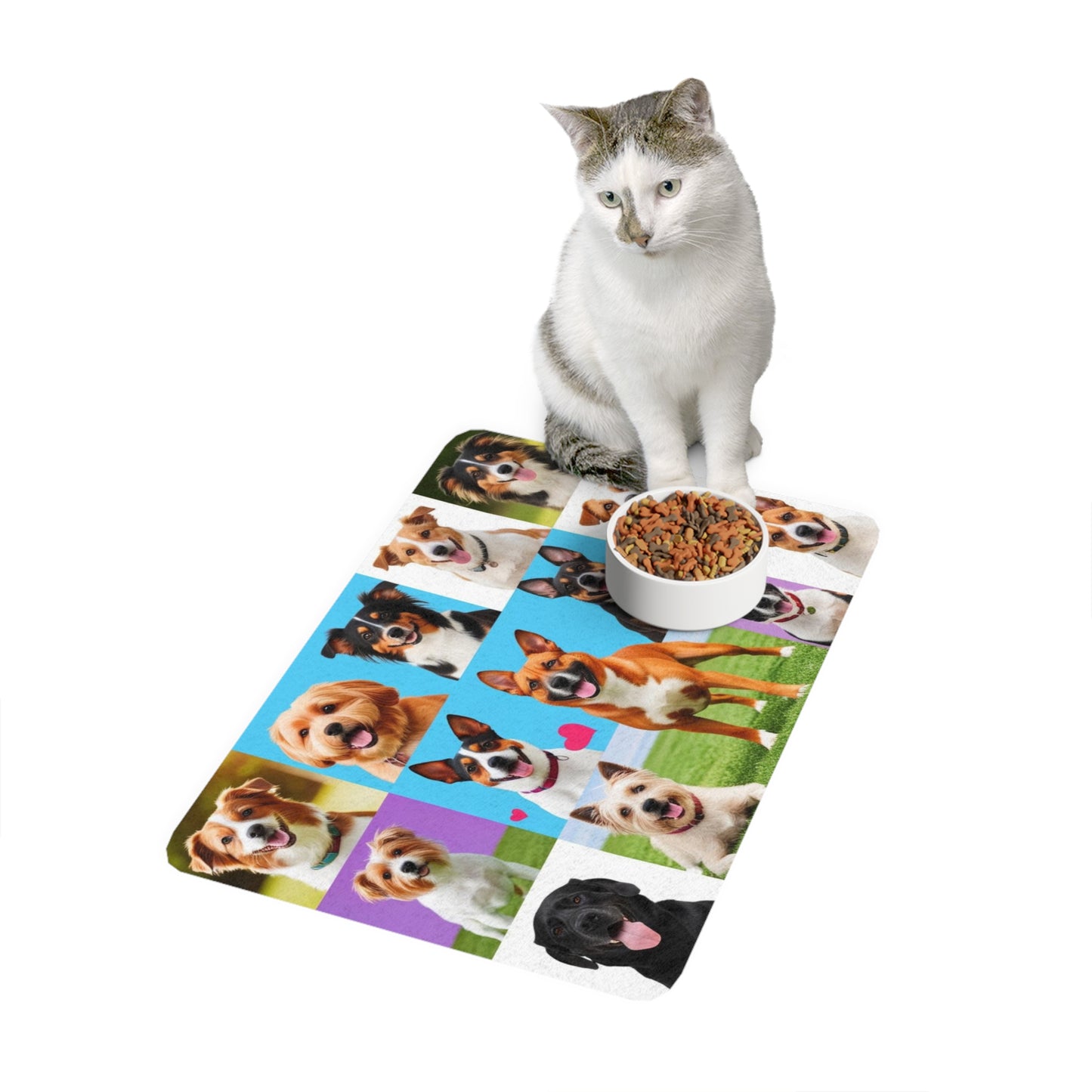 Pet Food Mat (12x18) - Class of Dogs