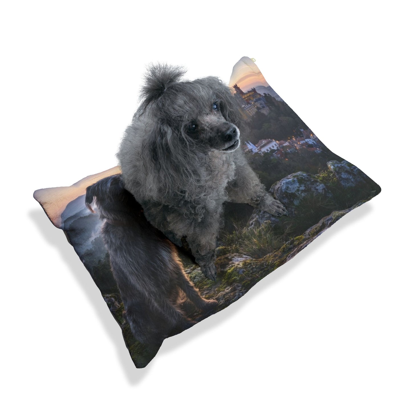 Barbado da Terceira Pet Bed