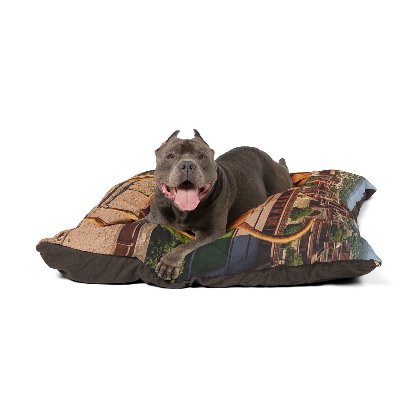 Banjara Hound Pet Bed