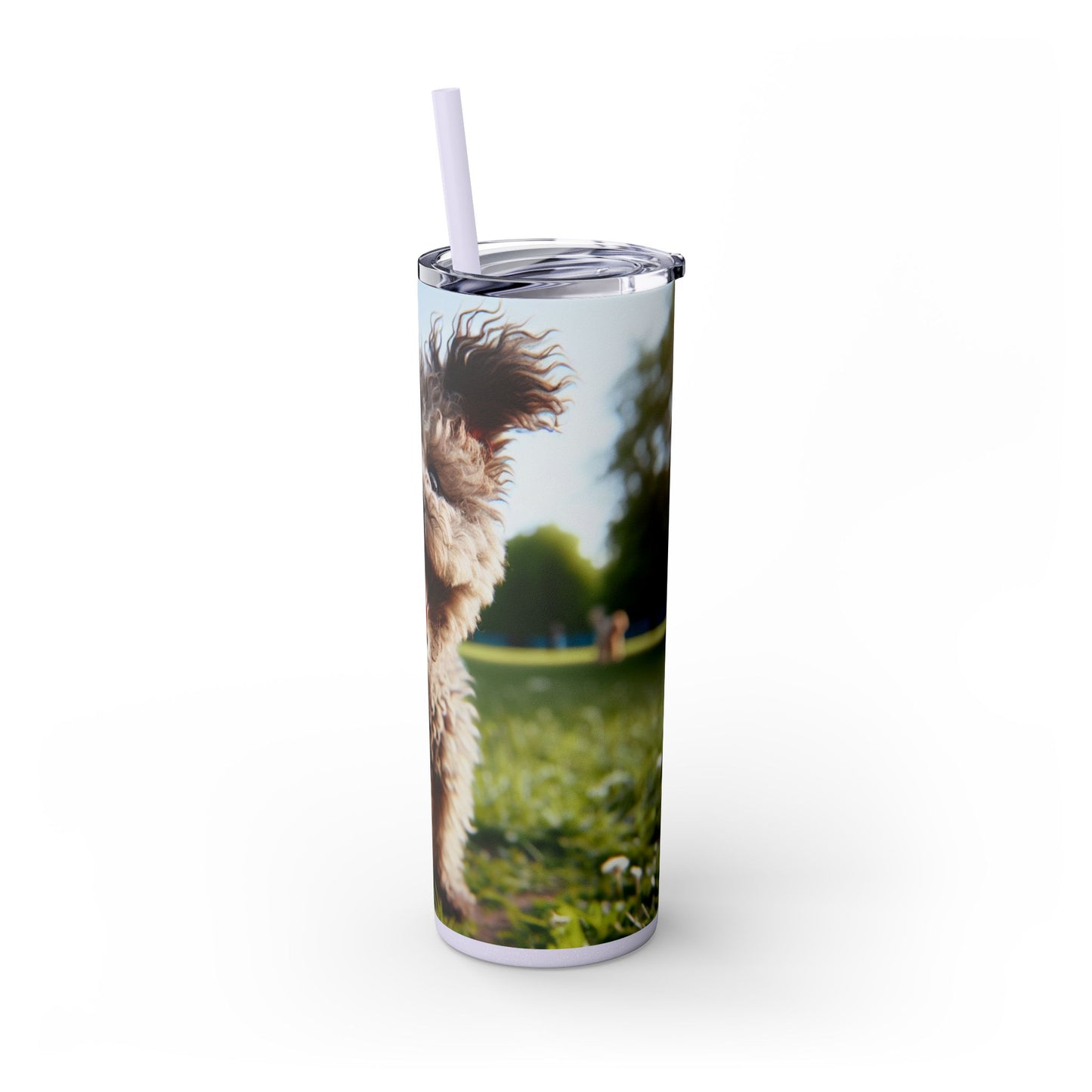 Pumi Skinny Tumbler with Straw, 20oz